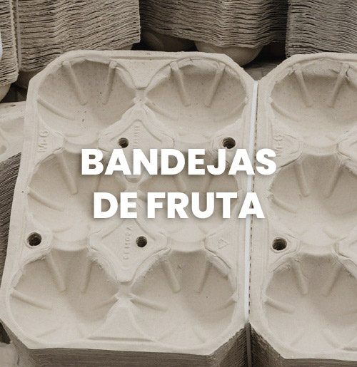 Termoformados