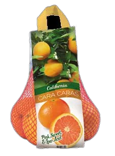 Multipack con Asa